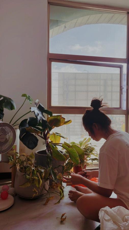 South Talk B&B Heng-ch'un エクステリア 写真